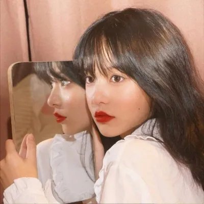 在世界边缘遇见熊
